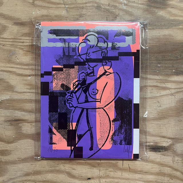 Xylo STEFANIA SWIMSUIT STRIP stéréo game 13x18 cm sans cadre