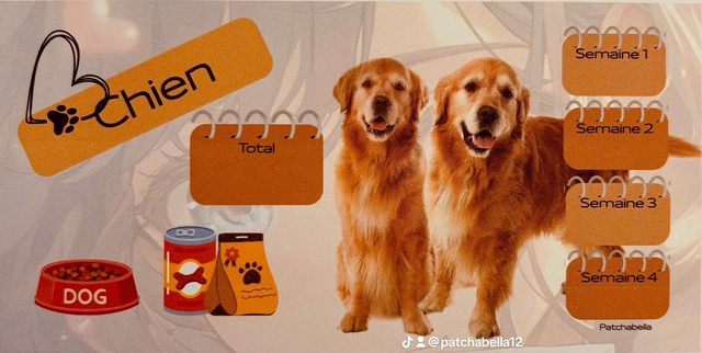 Chien