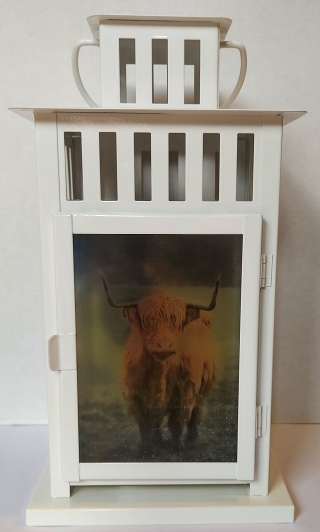 Highland Cow Lantern
