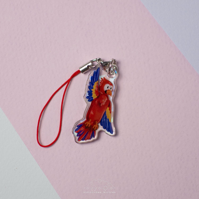 Papuga do telefonu | ZWIERZĘTA