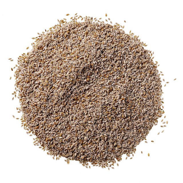 HorseFlex - Psyllium 750g