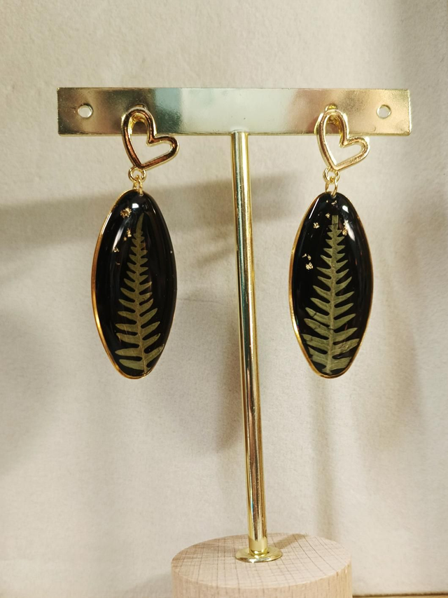 Fougère sur fond noir