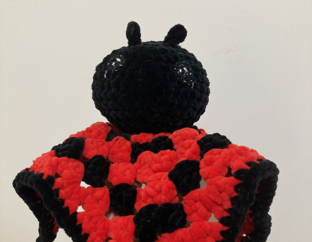 Doudou plat coccinelle