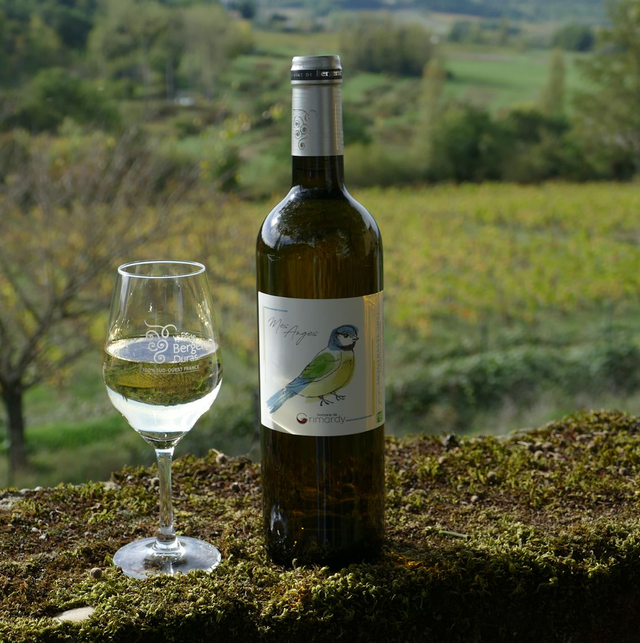 1x Mes Anges, Montravel Blanc sec 2024