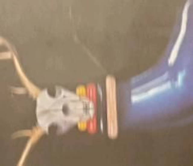 Lettres De Lémurie #1