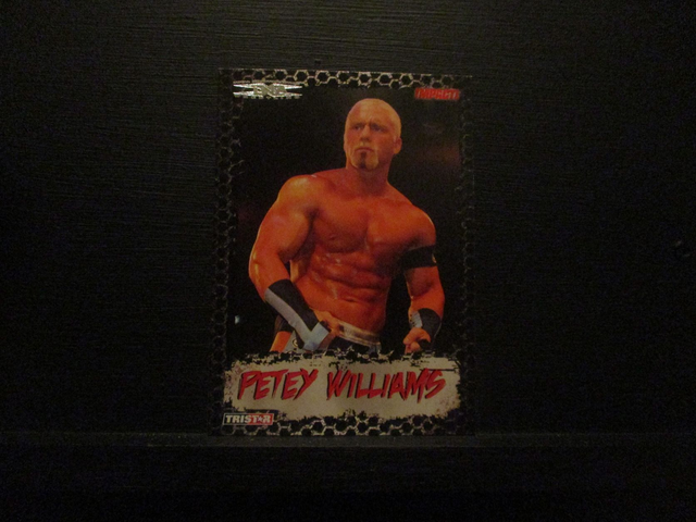 Petey Williams - Tristar TNA Impact 35 Wrestling Original Trading Card #17