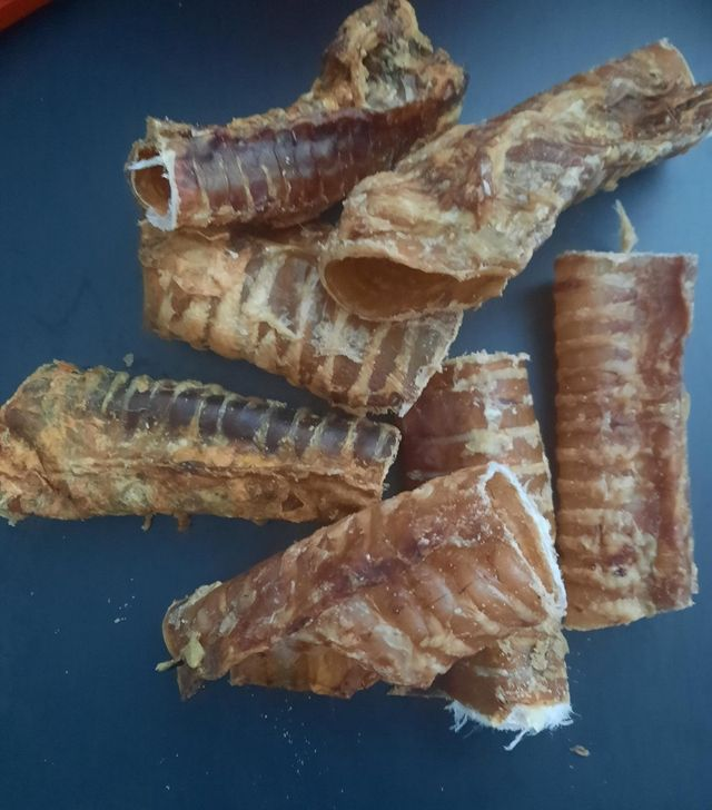 Beef Trachea (approx 12cms)