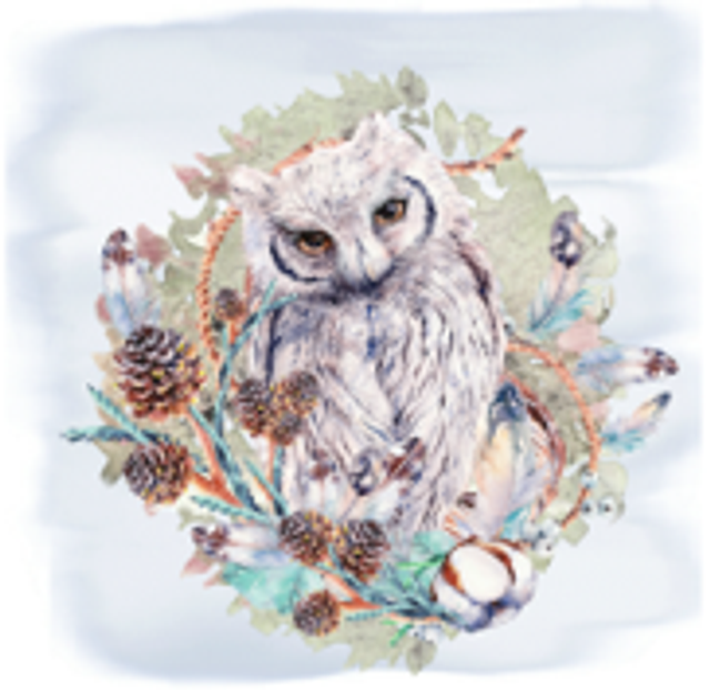 Hand made Cards - Life's a hoot