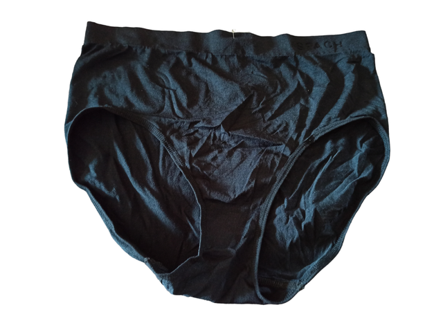 Culotte (Spach Underwear) 