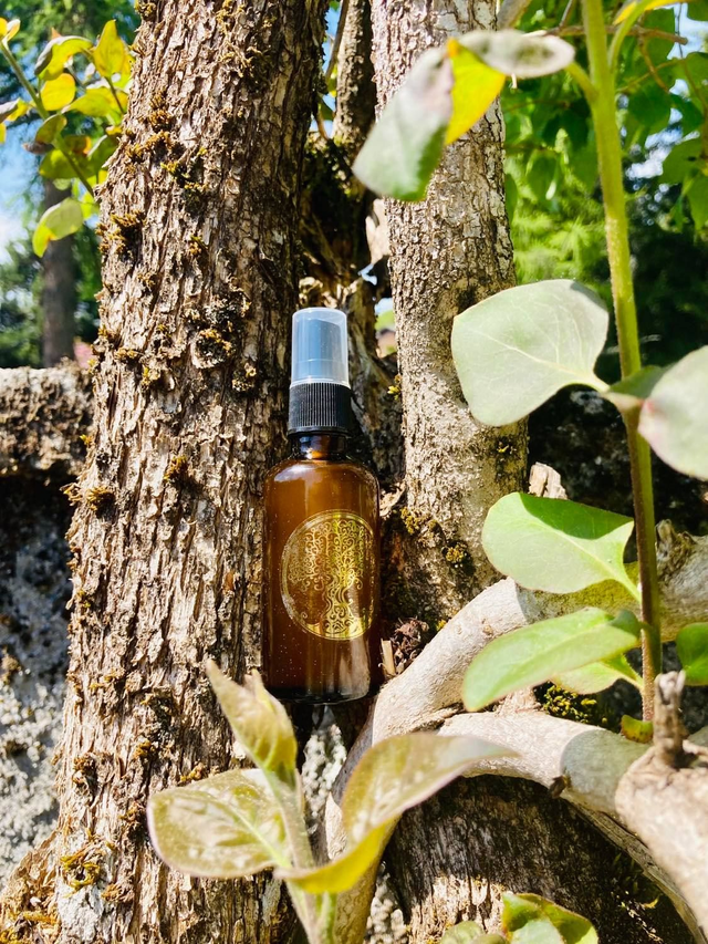 Parfum "Arbre de vie" : ancrage &amp; protection - 50 ml