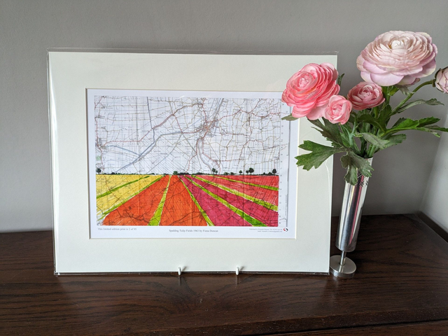 Spalding Tulip Fields