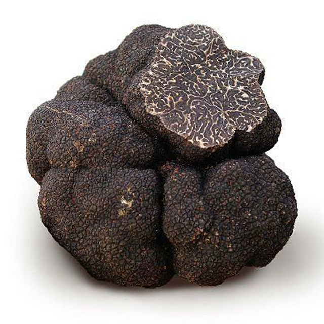 Tartufo nero pregiato 