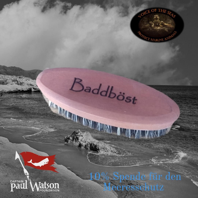 Bartbürste "Baddböst"