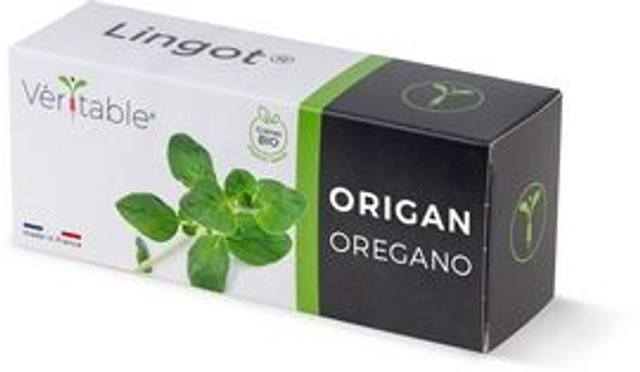Véritable Lingot Oregano - Organic