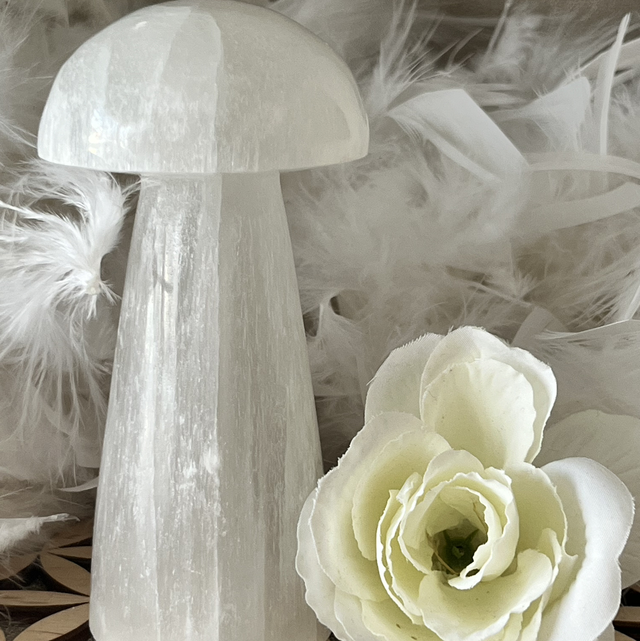 Champignon sélénite 