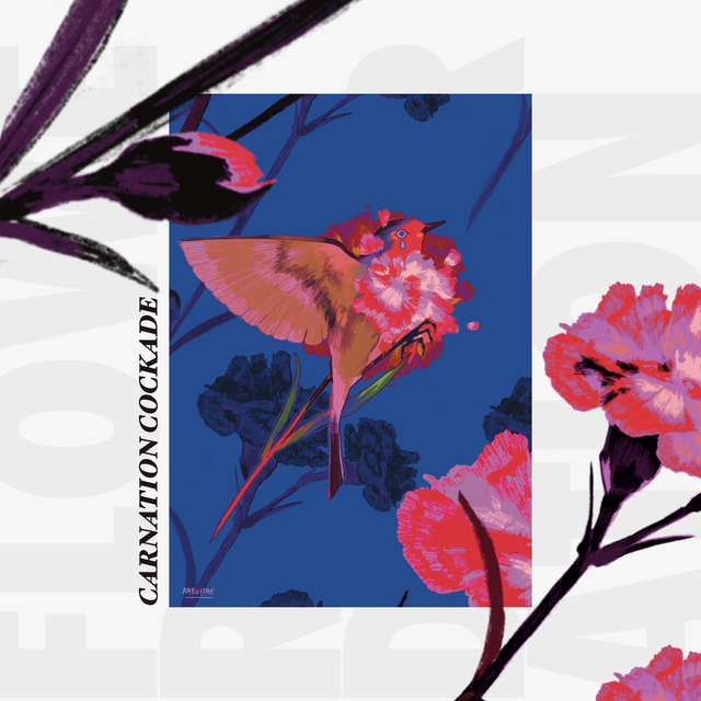 [FREEBIE] CARNATION COCKADE (OC)