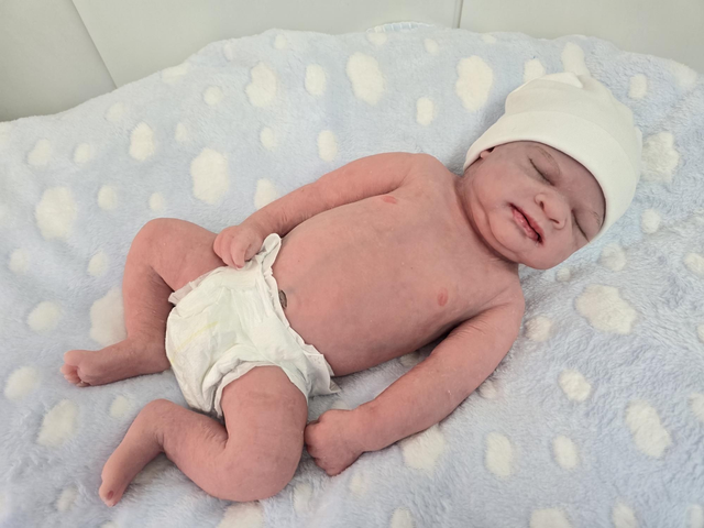 Neptuno sistema Reborn Life