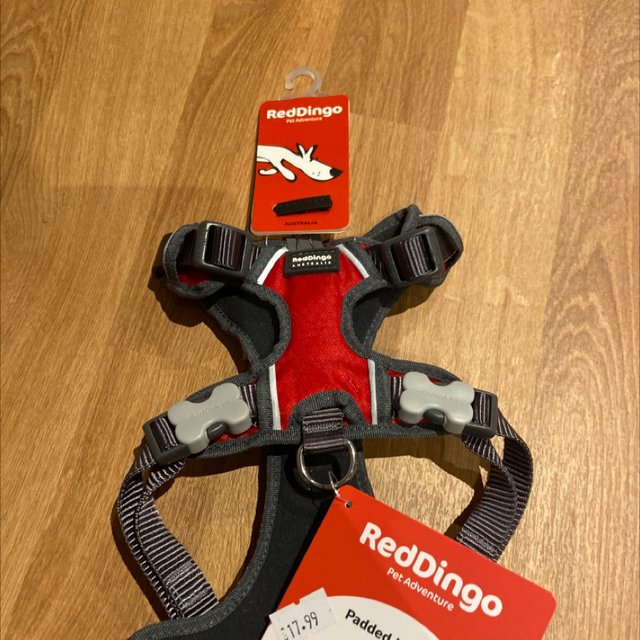 Harnesses RedDingo talla S