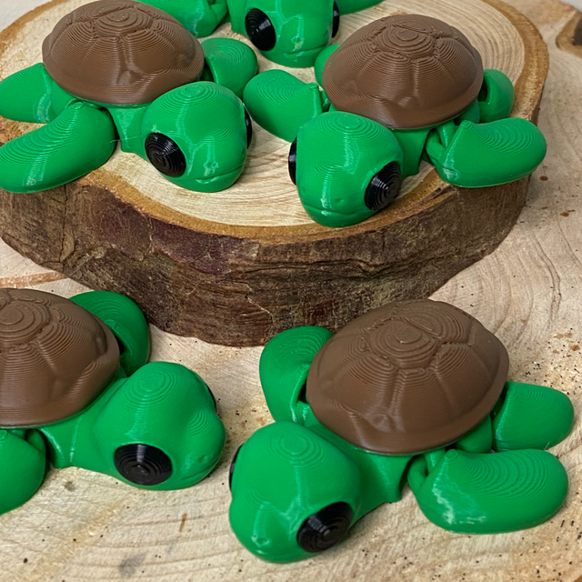 Tartaruga