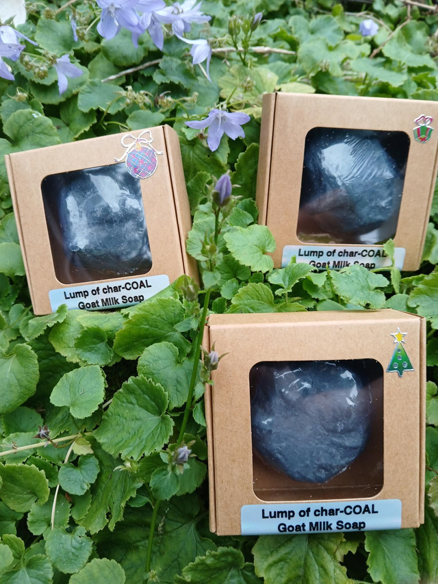 Lump of char-COAL Soap