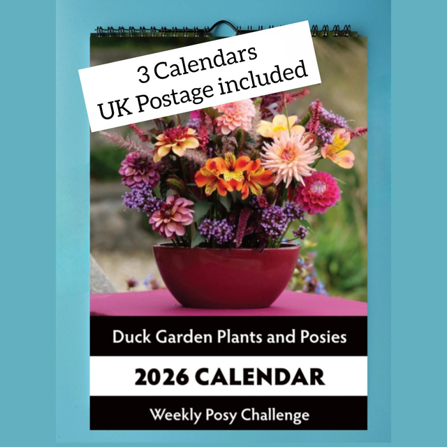 3 Calendars - UK Postage included