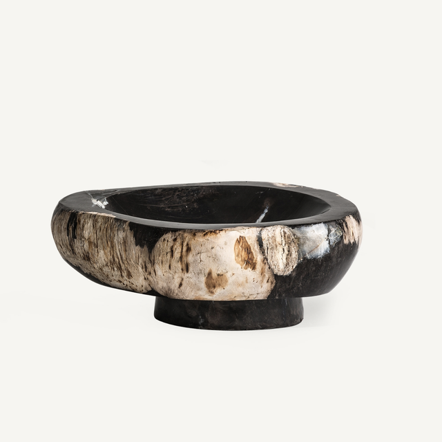 Petrified Wood Bowl