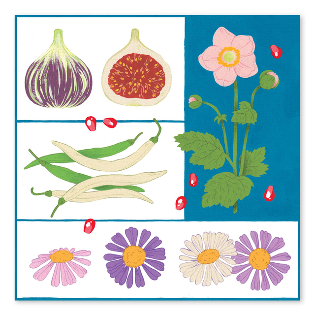 Illustrations du calendrier 2024