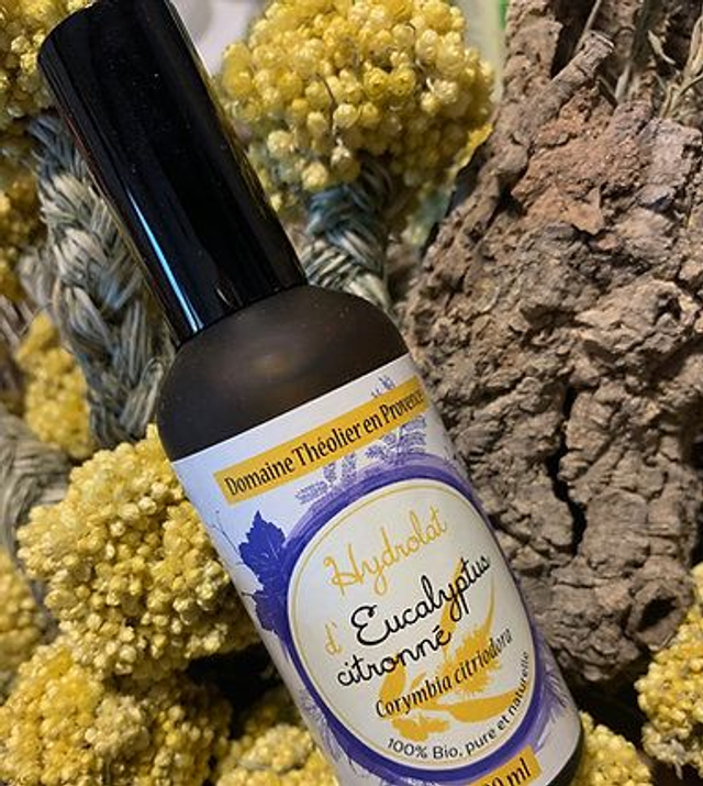 Hydrolat Eucalyptus citronnée Bio
