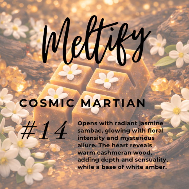 14. Cosmic Martian