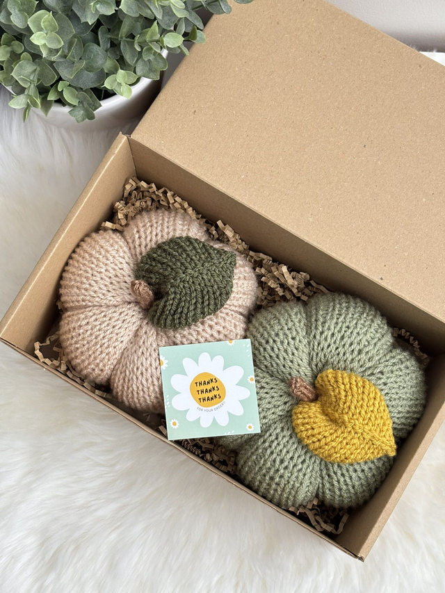 Citrouilles (Lot de 2) 