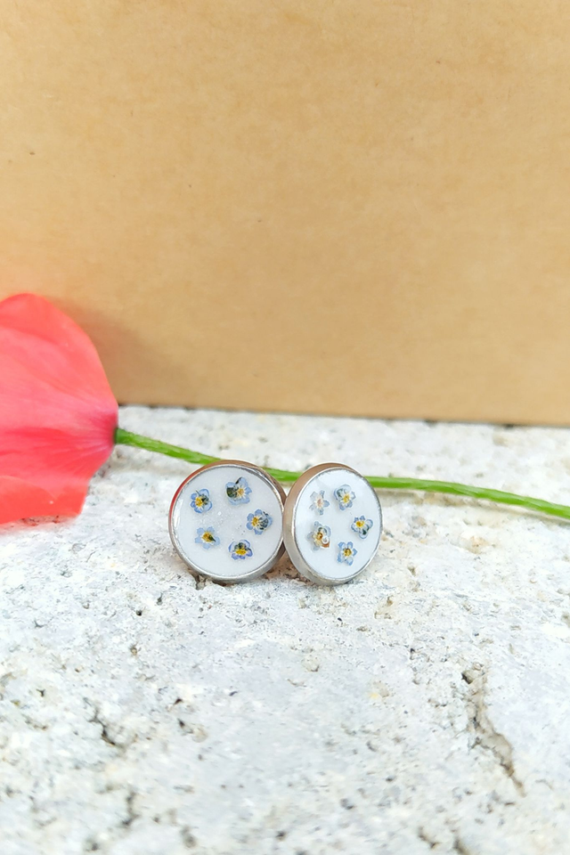 Puces d&#039;oreilles Souvenirs