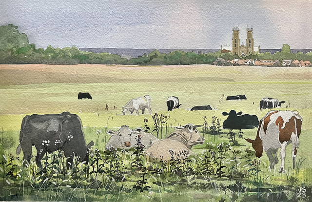 Beverley, view from the Westwood.