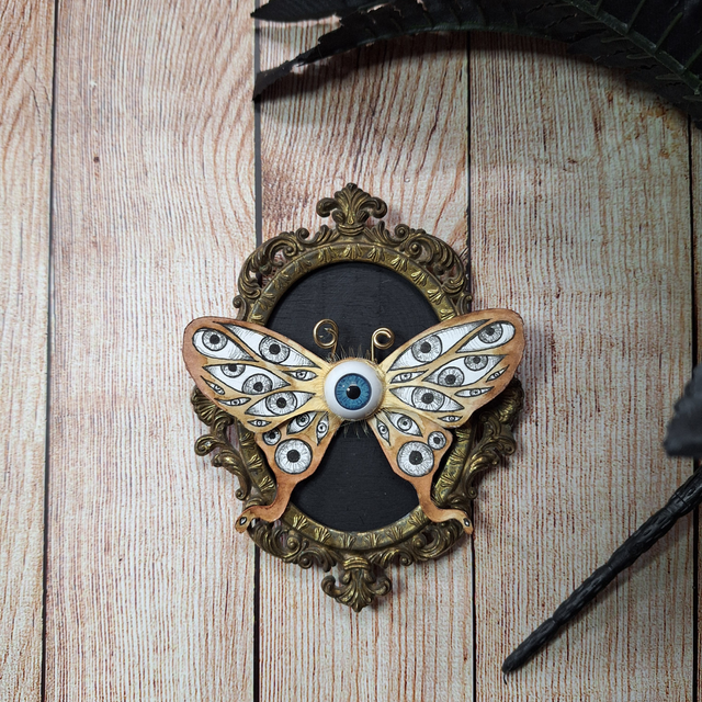 Le papillon qui voit tout