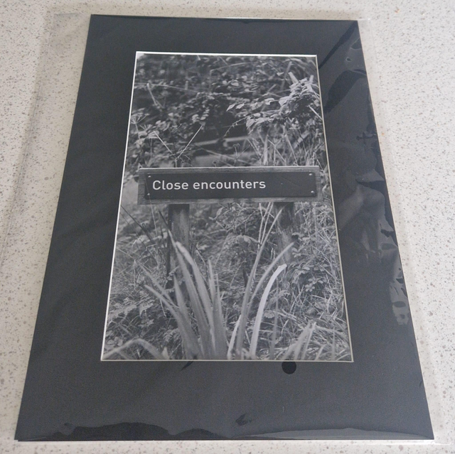 Close Encounters A4 Mounted Analogue Print