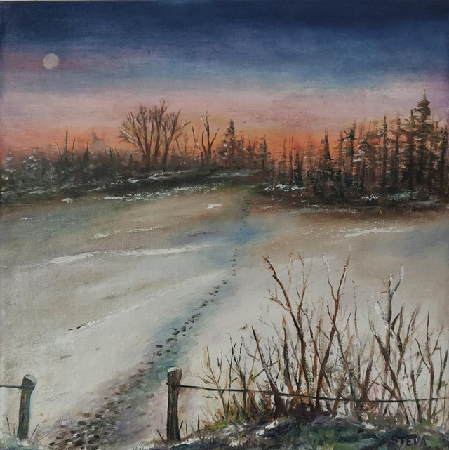 Des pas dans la neige