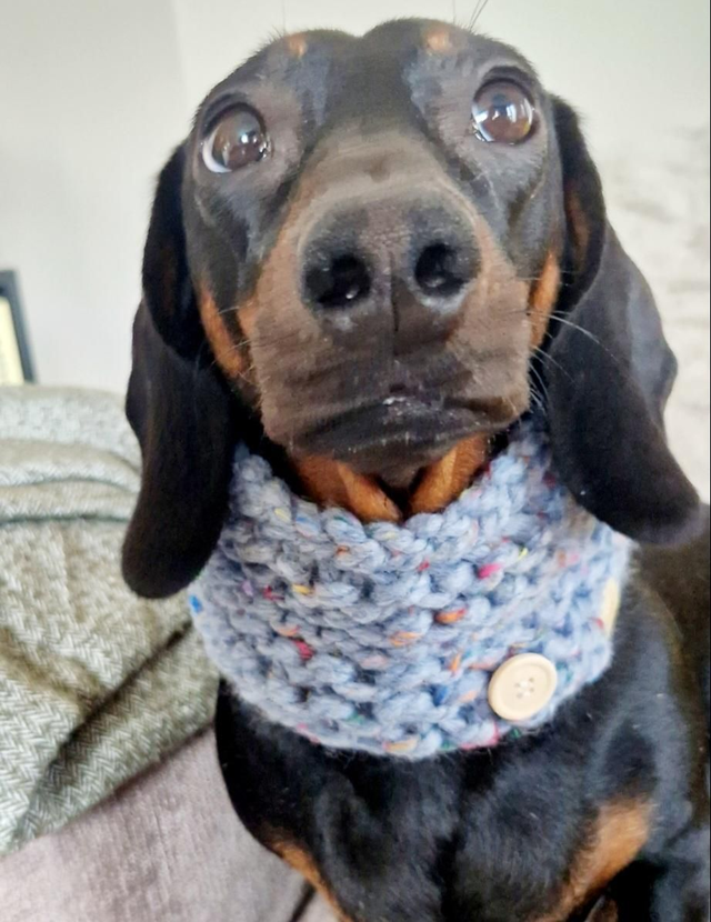 Rustic chunky knit snoods