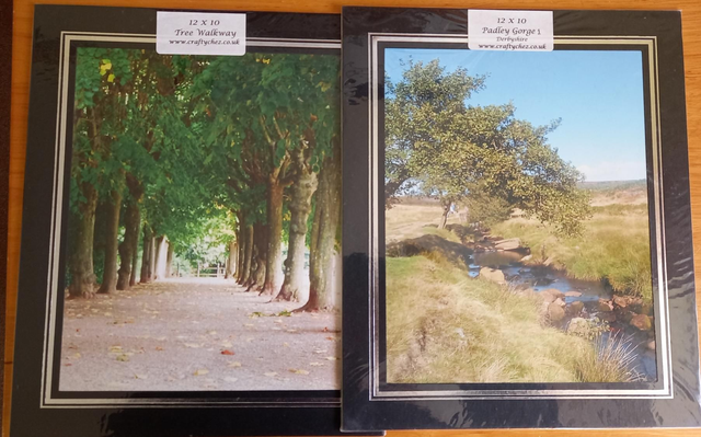Tree walkway and Padley Gorge mounted pictures 