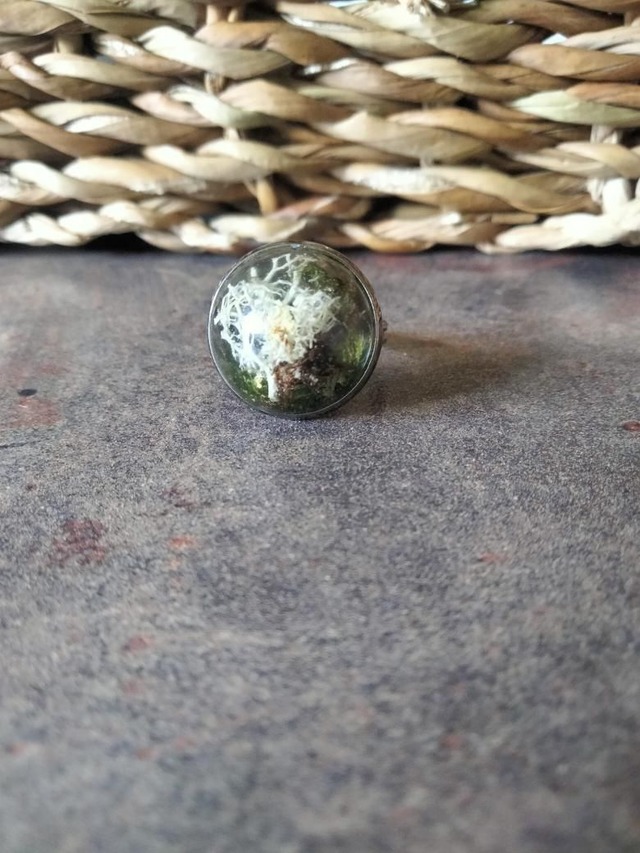 Bague en laiton réglable couleur argent avec inclusion de mousse et de lichen 