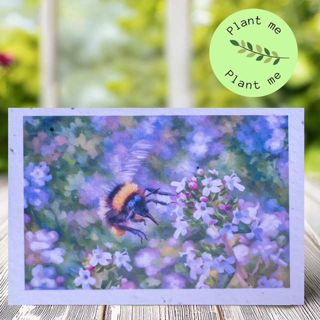 Plantable Greetings Card with a Bee on Thyme flowers