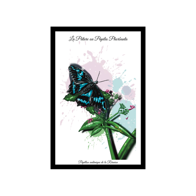 Carte postale - Papilio Phorbanta