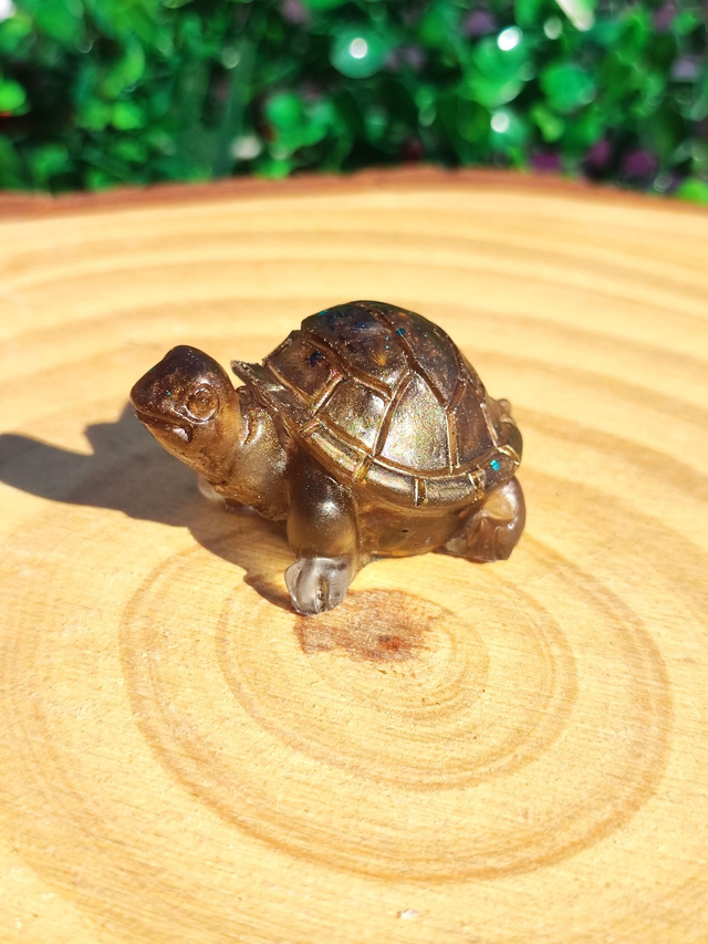 Tortue terrestre 