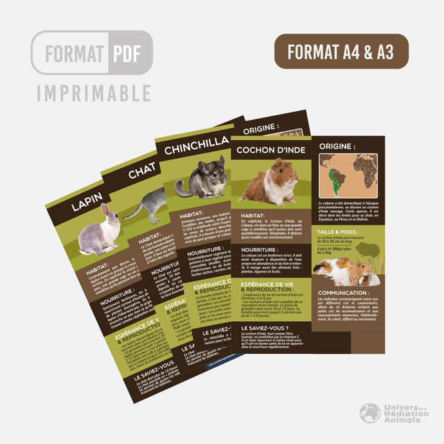 Feuille Pédagogique A4/A3 - PDF imprimable