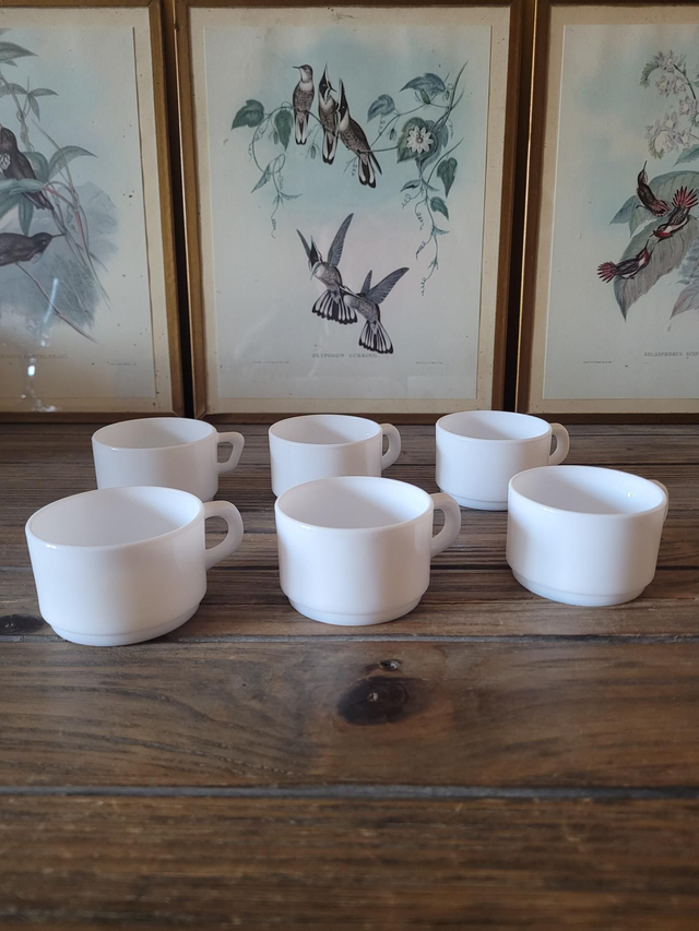 Tasses à café Arcopal France en opaline (lot de 6)