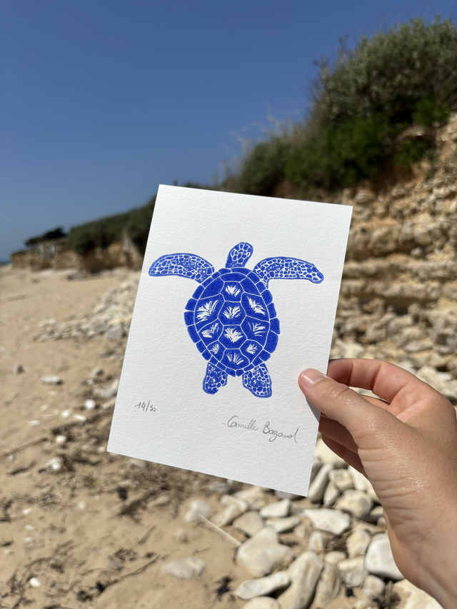 La tortue "mini"