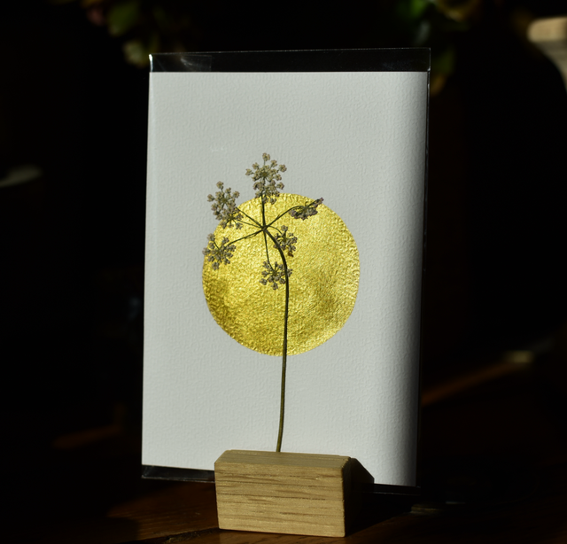 carte postale • cerfeuil