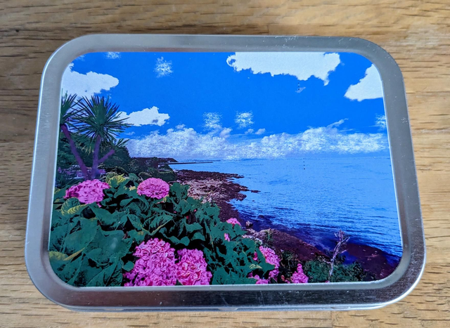 Inspired by Devon Tin ready for you to fill