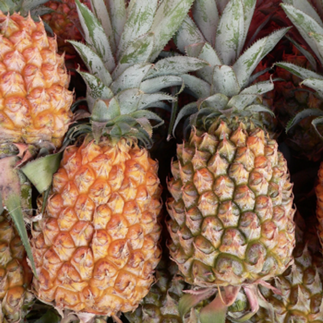 Ananas Victoria