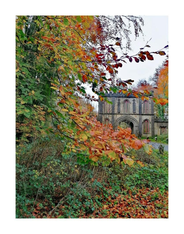 Rockingham Gate Lodge, Boyle, County Roscommon. 5" x 7 " Blank Greeting card with envelope. includes postage to all of Ireland.

