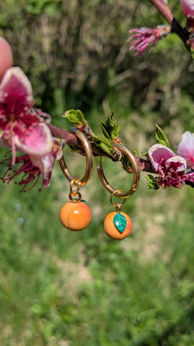 Charm pêche / abricot