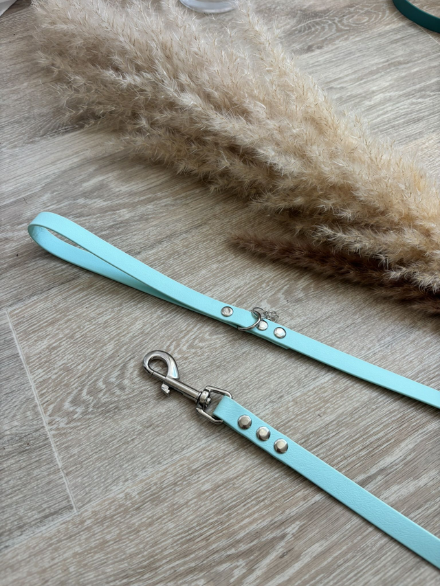 Laisse pour chiens Bleu pastel